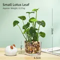 Artificial moneywort plant in square glass vase with stones, 25cm desktop decoration - Small Lotus Leaf - Glass Basin Artificial Flower Ornament