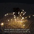 3m warm white LED copper wire fairy lights with battery box for cozy room decor - 3m Copper Wire Light - Warm White - Battery Powered