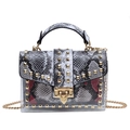 Transparent PVC jelly bag featuring snakeskin print and gold pyramid studs with chain - Grey Snake Pattern With Handle