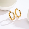 Elegant gold hoop earrings with sparkling inset crystals on a clean white background - Zirconia Gold Hoop / Gold
