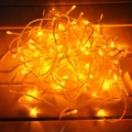Warm white 10m 100 LED string lights for Christmas and wedding decor on wood - 10M 100LEDs with Tail Plug / Yellow