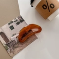 Detailaufnahme der Haarklammer aus Bernstein-Acetat mit goldenem France-Etikett - Bernstein