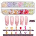 Detailed set of mixed nail art rhinestones in 12-grid storage box with size specifications - Large Aurora Rhinestone (12TZ-15)