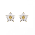Exquisite gold stainless steel flower stud earrings with sparkling crystal petals - White