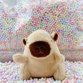 Cute brown capybara plush keychain toy with metal chain against colorful foam balls - Light Brown Basic + Bead Chain