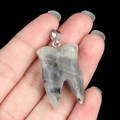 Pendentif dent en pierre d'agate naturelle tachetée grise avec fermoir en métal argent - Labradorite