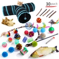 Kit complet de 30 jouets pour chat incluant tunnel, baguettes, poissons et balles - Lot No. 61
