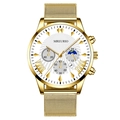 Classic gold men's watch with white sunray dial and stainless steel mesh band - White Dial Gold Hands Gold Strap