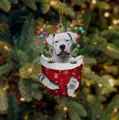 Weihnachtshund im roten Schneeflocken-Strumpf mit Rentiergeweih und festlichen Lichtern - Weißer Pitbull Typ 2