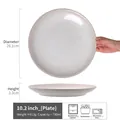 Beige ceramic steak plate with radial relief texture, 10.2 inch dishwasher safe dish - Liuxian - White Large Plate 10.2 Inch (Minor Flaws)