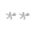 Silver-Clear Zirconia