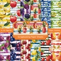 Fruity 6x6 inch watercolor scrapbooking paper sheets with 12 vivid fruit patterns - 23014a 24 Sheets