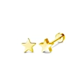Orecchini minimalisti a stella in acciaio dorato con chiusura a vite piatta - Un Paio / Forma di Stella (LA111302-G)