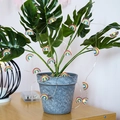 Detail of LED rainbow fairy lights wrapped around a green plant for home decor - Rainbow / 2m 20-LED (3AA Battery Model Pure Copper Wire)