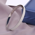 Polished silver stainless steel bangle with double-row cubic zirconia on purple silk - Double Row Rhinestone / Silver