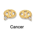 Minimalist S925 sterling silver Cancer zodiac stud earrings in golden finish with zircon - Cancer