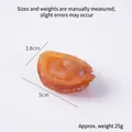 Realistic dried abalone toy model in amber brown, size 5cm x 3.8cm, weighing 25g - Dark Moist Abalone - No Buckle