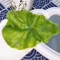 Funny realistic green leaf hair clip with detailed leaf vein texture for women - Lettuce Hair Clip