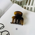 Medium dark brown tortoiseshell resin hair claw clip resting on an open book page - Matte Light Tortoise (Medium 4.8cm)