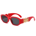 Retro small frame sunglasses in red finish with ornate gold emblem on wide temples - Red Frame Dark Grey Lens