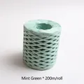 Mint green raffia paper ribbon roll 200m for gift wrapping and DIY crafts - 200m/Roll / Mint Green