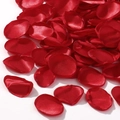 Vibrant red silk rose petals with singed edges for romantic wedding party decoration - Red (51)