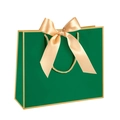 Green paper gift bag with gold border, matching gold rope handles and a large ribbon bow - Gold Frame Green; Extra Small Horizontal Print 19*15*7 Cm Ribbon Style.