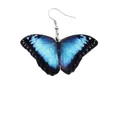 Blaue Schmetterlingsflügel-Ohrringe mit Farbverlauf und eleganten silbernen Haken - Blau Schwarz Verlauf (M122-6)