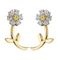 Macro view of gold flower stud earrings with sparkling white zircons and yellow center stones - White