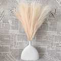 White ceramic vase with artificial pampas grass bouquet on newspaper background - Khaki