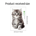 Cute gray and white kitten wall sticker made of PVC, model FX-F206, size 19.5x30cm - Grey White Kitten-FX-F206