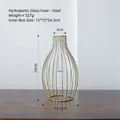 Nordic gold iron frame hydroponic glass vase weighing 327g and 24cm in height - Lantern Hydroponic Glass Vase / Gold