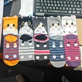 Big Eye Stripe Cat Series
