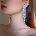 Luxury long fringe earrings with shining silver crystals for elegant women style - Silver Shiny Multi-Row Dense Long Tassel Earrings DTE1816290S