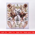 Champagne gold and silver 44-piece Christmas tree ornament set in various shapes - Style 03 (Set of 44)