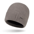 Men's winter core-spun yarn knit beanie in taupe with thick lining and metal plate - One Size / Beige