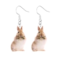 Detailed view of cute acrylic rabbit earrings with metal hooks on white background - Rabbit