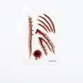 Realistic Halloween wound tattoo stickers with bloody stitches and claw marks WS-K194 - WS-K194