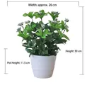 Artificial pothos plant in white ceramic pot, total height 30cm and width 26cm - Large Pot + Cuckoo Leaf