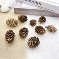 Various natural brown pine cones on linen background for rustic Christmas decor - 3-4cm Larch Pine Cones