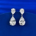 Eleganti orecchini a goccia in argento S925 con diamanti ad alto tenore di carbonio lucidi - Argento 925 / Bianco