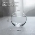 Minimalist Nordic clear crystal glass ball candle holder with detailed size and weight specs - Transparent Round Glass Candle Holder