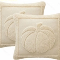 Set of two beige plush square pillow covers with raised pumpkin pattern and piping - 18x18 Inch / Beige Large Pumpkin
