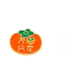 Cartoon persimmon enamel pin in bright orange with green leaves and gold butterfly clasp - Prosperous Persimmon
