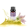 10ml pure Clary Sage Essential Oil in dark amber bottle with splash and dried herbs - Clary Sage (single Ingredient)