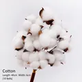 Natural dried cotton bouquet with 10 flower heads for Christmas home decoration - Dried Kapok Flowers [white 10 Per Pack]; Multiple Sizes Available