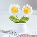 Handmade crochet white daisy flower in a mini ceramic pot for home desk decoration - 2-Head Daisy White
