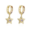 Dettaglio di orecchini a cerchio placcati oro 18K con pendenti a stella in zircone colorato - 41226/Zircone Colorato/Centro Stella Viola