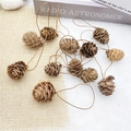 Macro shot of natural pine cone ornaments with rustic hanging loops on soft textures - 1.5-2.5cm Larch Pine Cones with Wire