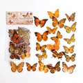 Vintage amber butterfly decorative PET stickers set for journaling scrapbooking 40pcs - Amber Butterfly